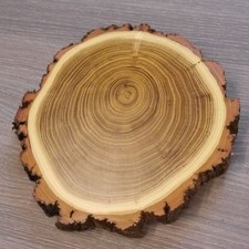 1 Stück Akazie Keiler