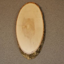 Birke Damhirsch AF 31 cm