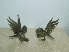 Paar italienische Kampfhühner