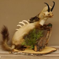 Wolpertinger Marder Wolpi