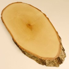 Birke Rothirsch AF 40 cm