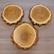 3 Stück Akazie Keiler