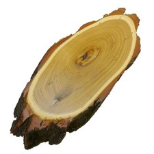 Akazie Trophäenschild Hirsch