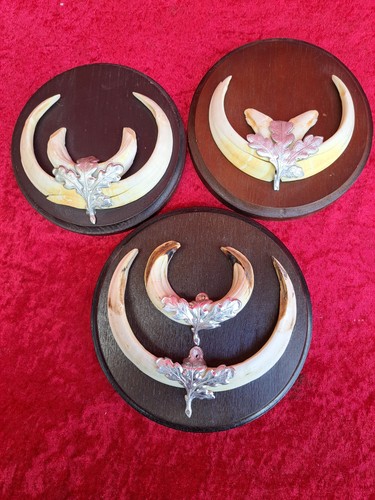 Keilerwaffen 3x - keilerwaffen, ,