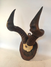 Kuhantilope Kudu Antilope